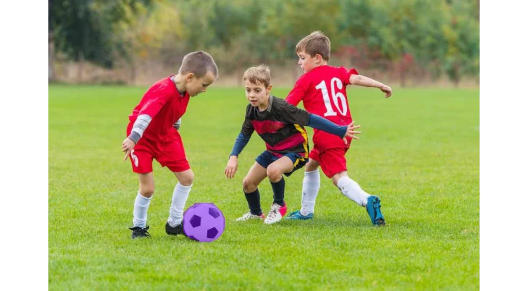 Kết quả đầu ra từ quy trình phân đoạn đối tượng