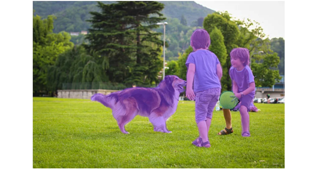 Ví dụ về phân đoạn đối tượng sử dụng yolov8-seg-640