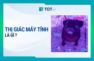 thị giác máy tính là gì