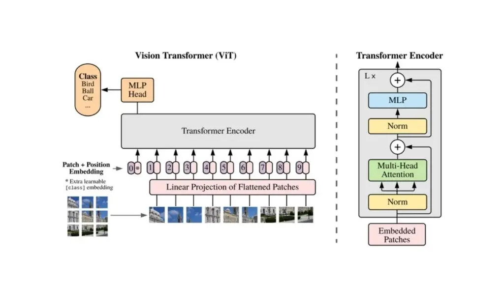 Ảnh minh họa mô hình ViT 