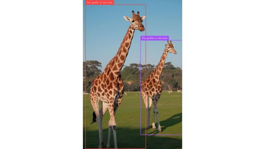 Output image produced by using the DeepSeek-VL2 model with the Roboflow Supervision library