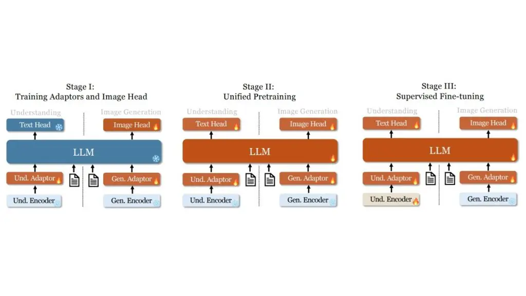 Diagram of the 3-stage training pipeline of the Janus model