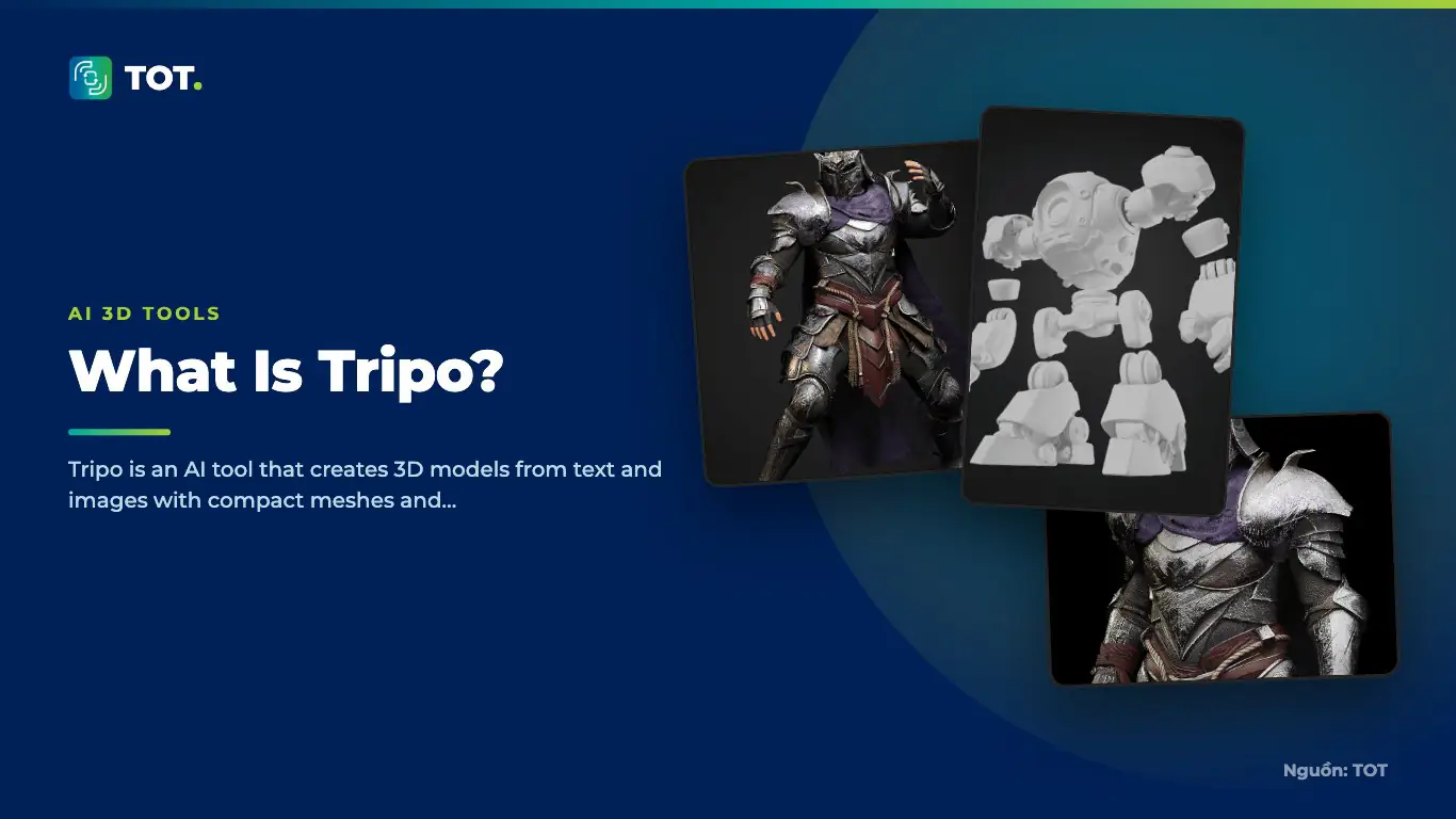 What Is Tripo